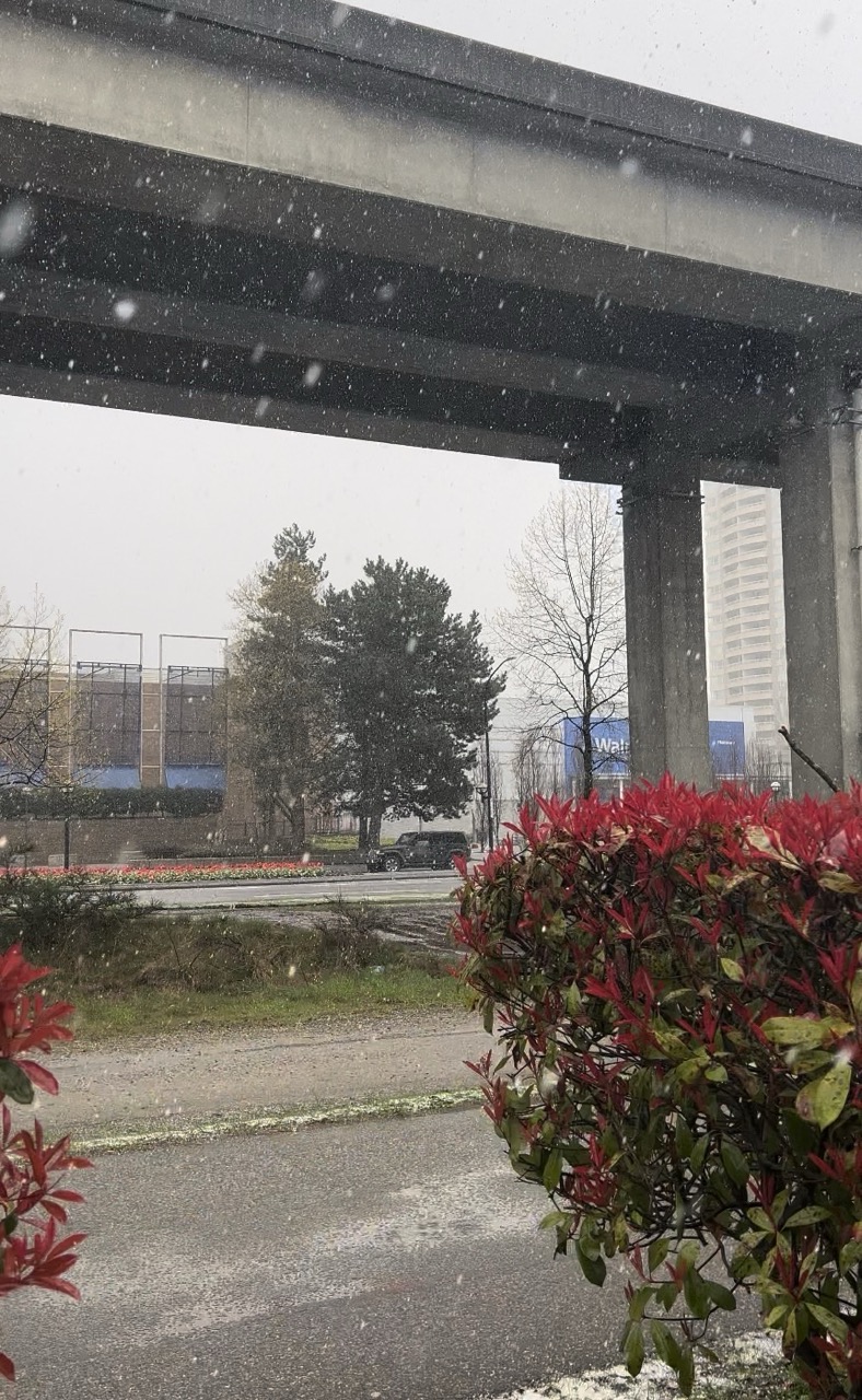 The largest hail in recent times