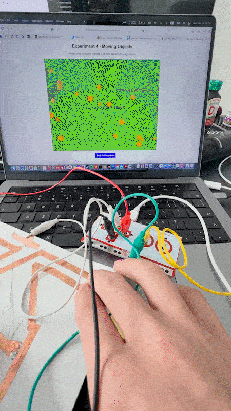 An interactive experience combining sound and movement.