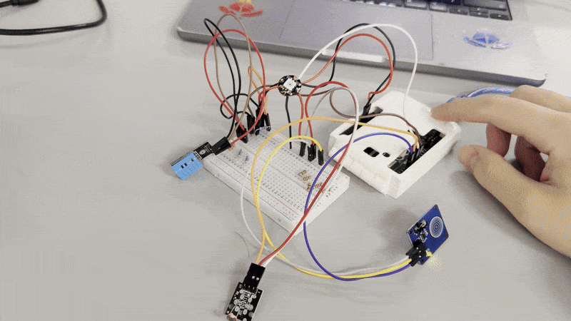 Live test — LED responds to switch and sensors