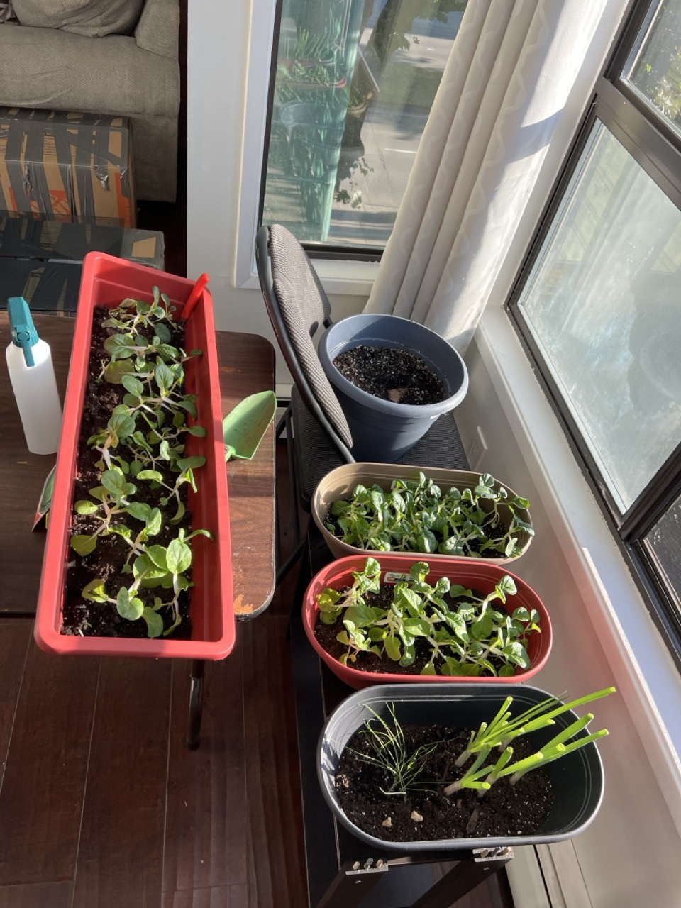 Event 1 - Community Garden Project