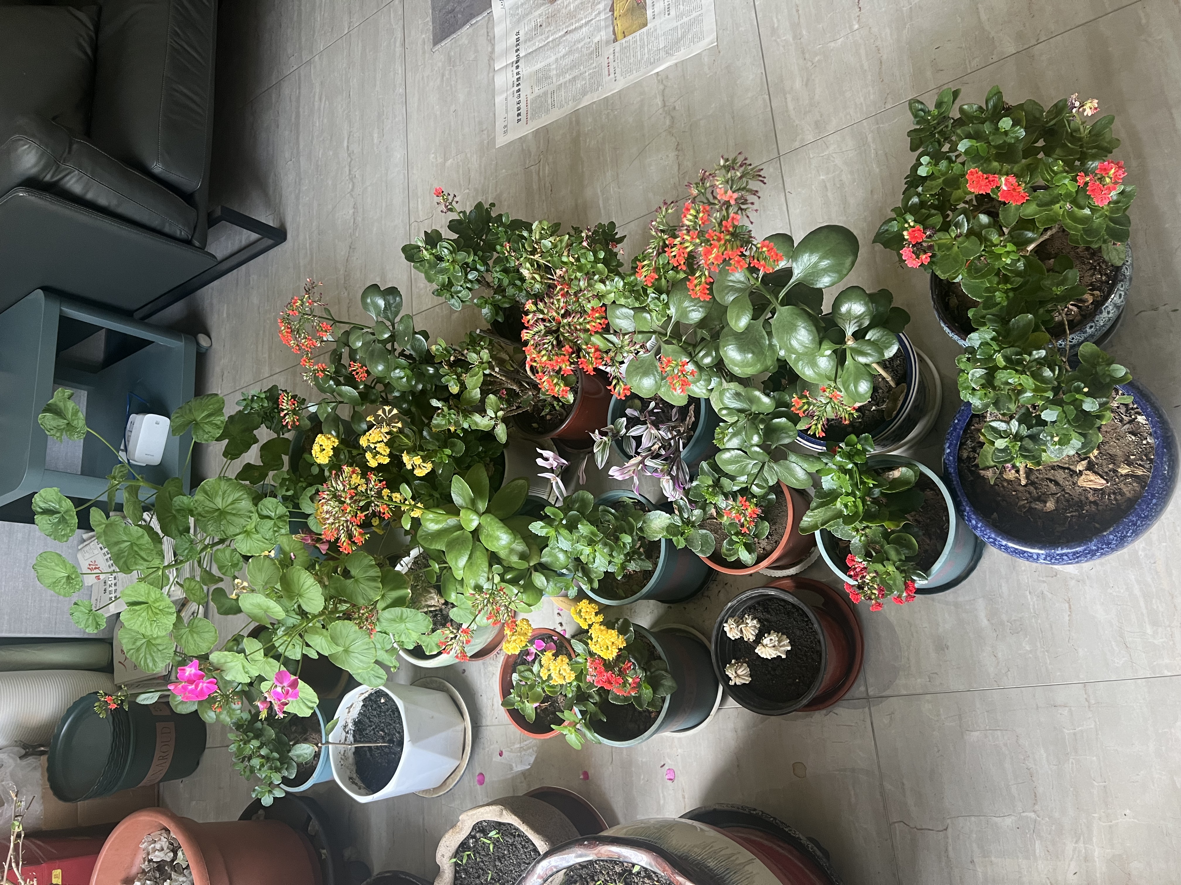 Member Garden 2 - Vegetable Garden